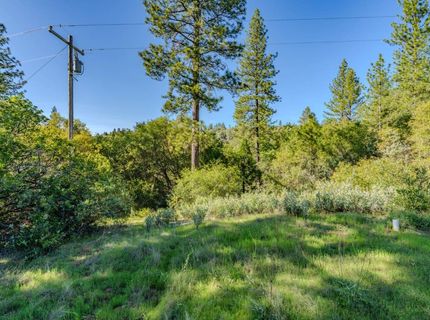 16480 Ponderosa Way, Volcano, CA 95689 Photo