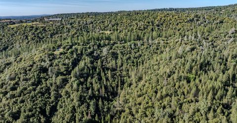 16480 Ponderosa Way, Volcano, CA 95689 Photo