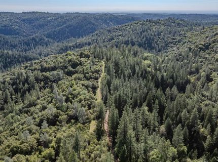 16480 Ponderosa Way, Volcano, CA 95689 Photo