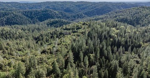 16480 Ponderosa Way, Volcano, CA 95689 Photo
