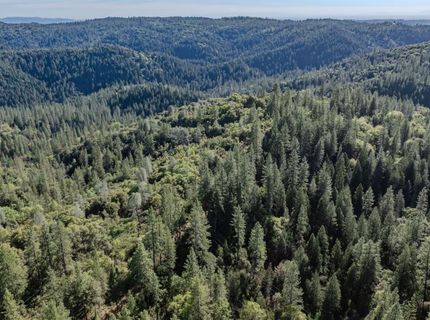 16480 Ponderosa Way, Volcano, CA 95689 Photo