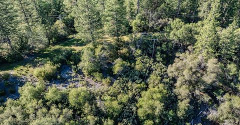 16480 Ponderosa Way, Volcano, CA 95689 Photo