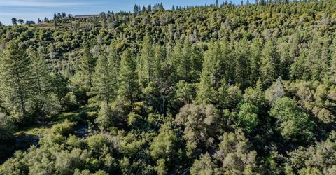 16480 Ponderosa Way, Volcano, CA 95689 Photo