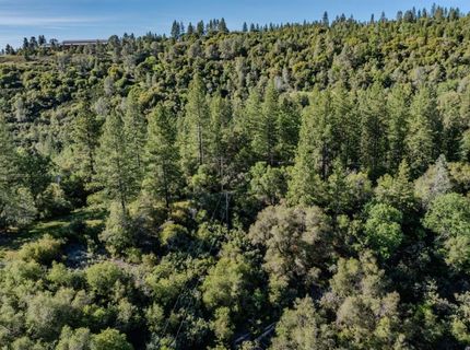 16480 Ponderosa Way, Volcano, CA 95689 Photo
