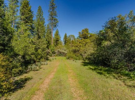 16480 Ponderosa Way, Volcano, CA 95689 Photo