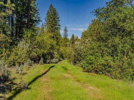 16480 Ponderosa Way, Volcano, CA 95689 Photo