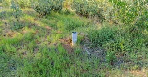 16480 Ponderosa Way, Volcano, CA 95689 Photo