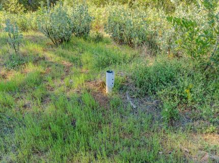 16480 Ponderosa Way, Volcano, CA 95689 Photo