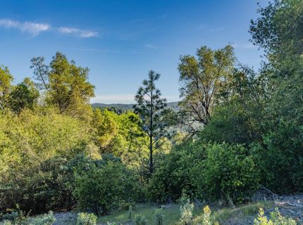 16480 Ponderosa Way, Volcano, CA 95689 Photo