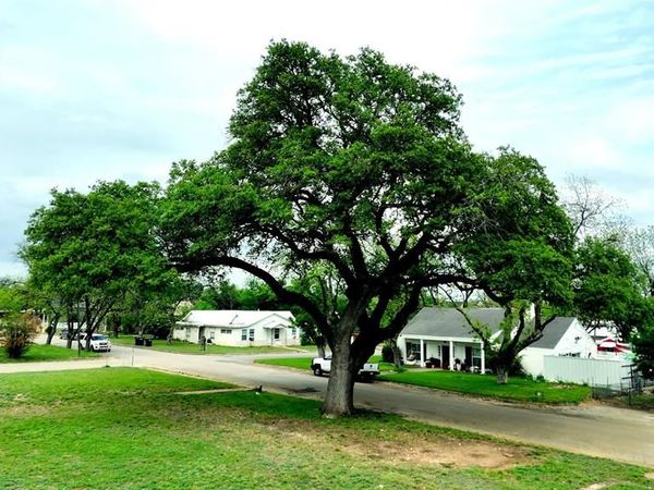 1304 S high Street, Brady, TX 76825