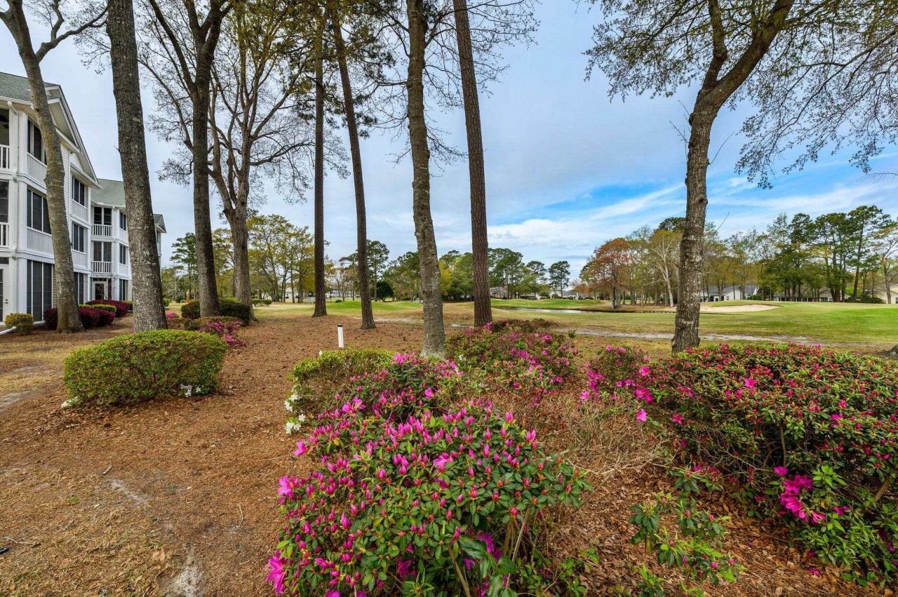 4429 Turtle Ln. Photo 27