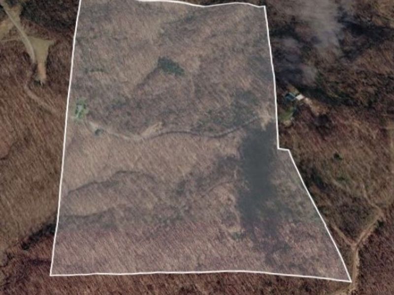 2309 Township Road 281, Bergholz, OH 43908 Photo 23