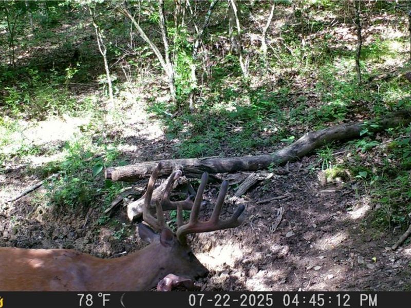 2309 Township Road 281, Bergholz, OH 43908 Photo 26