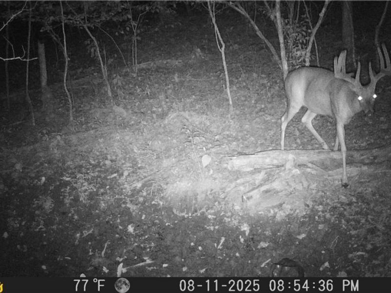 2309 Township Road 281, Bergholz, OH 43908 Photo 27