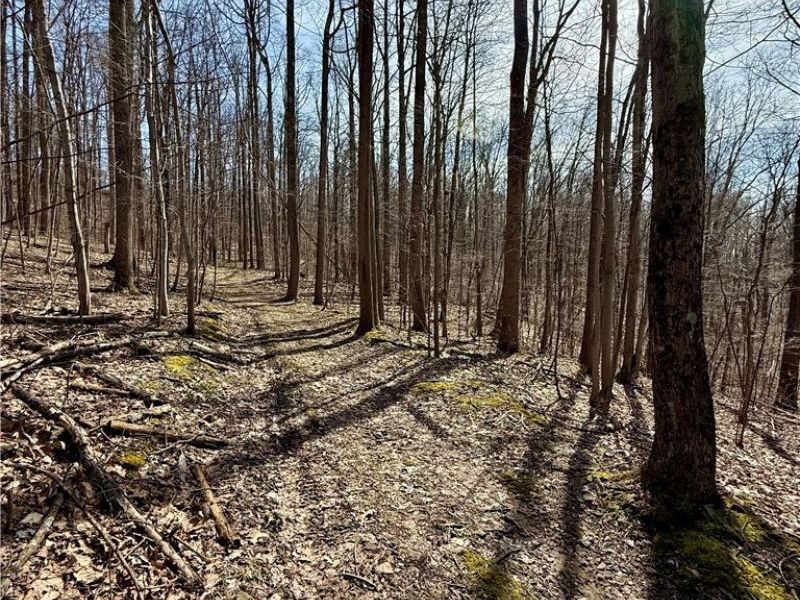 2309 Township Road 281, Bergholz, OH 43908 Photo 28