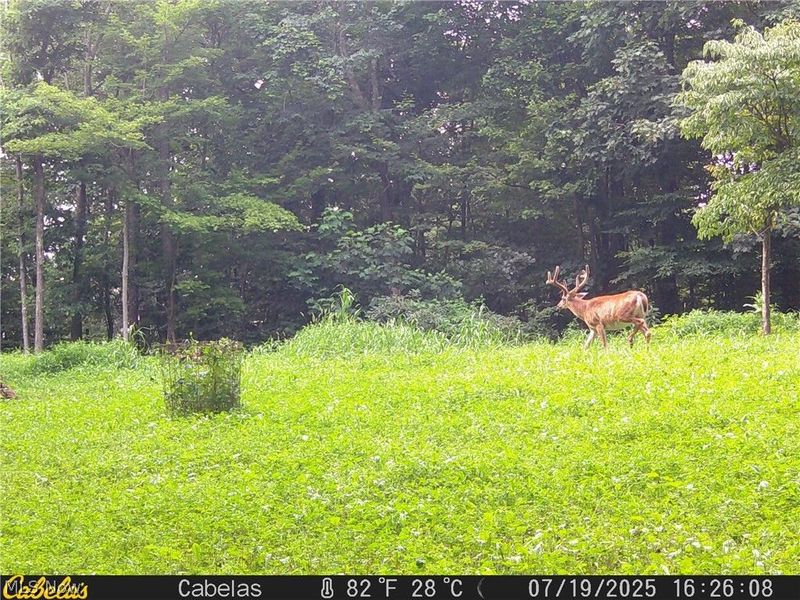 2309 Township Road 281, Bergholz, OH 43908 Photo 29