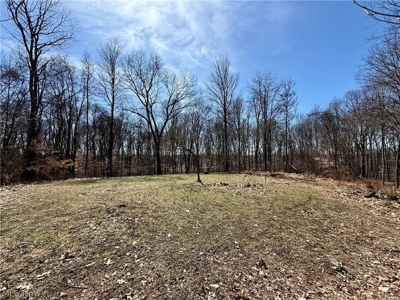 2309 Township Road 281, Bergholz, OH 43908 Photo 32