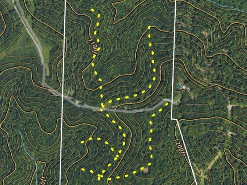 2309 Township Road 281, Bergholz, OH 43908 Photo 33