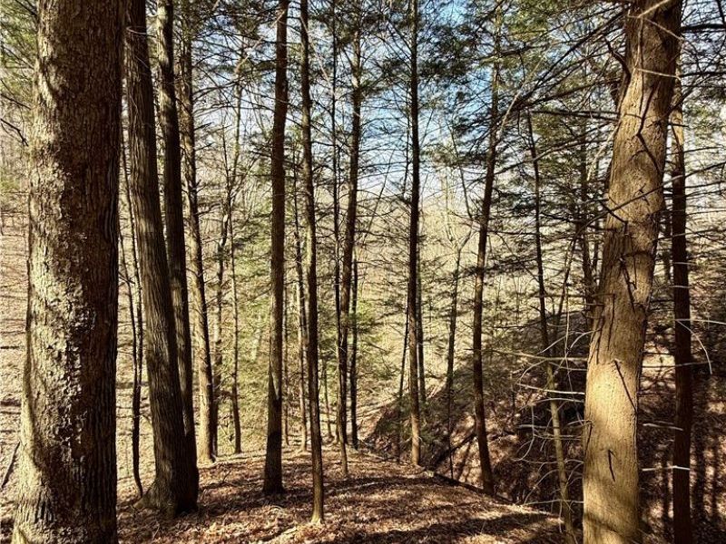 2309 Township Road 281, Bergholz, OH 43908 Photo 34