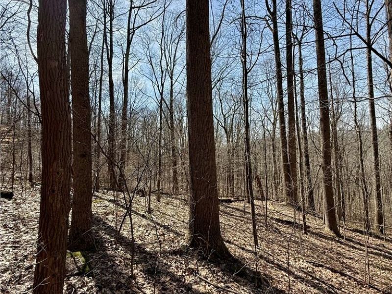 2309 Township Road 281, Bergholz, OH 43908 Photo 36