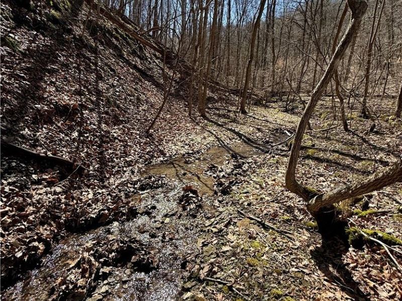 2309 Township Road 281, Bergholz, OH 43908 Photo 37