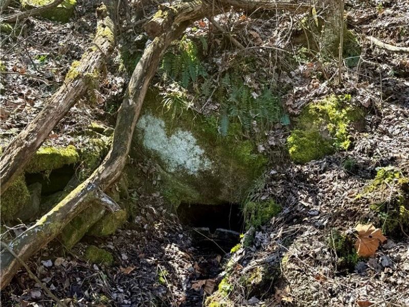 2309 Township Road 281, Bergholz, OH 43908 Photo 38