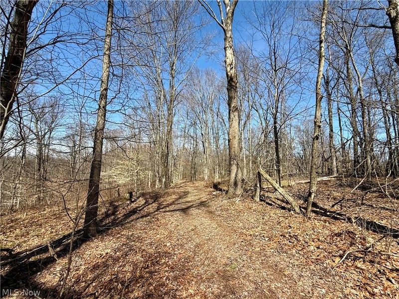 2309 Township Road 281, Bergholz, OH 43908 Photo 39