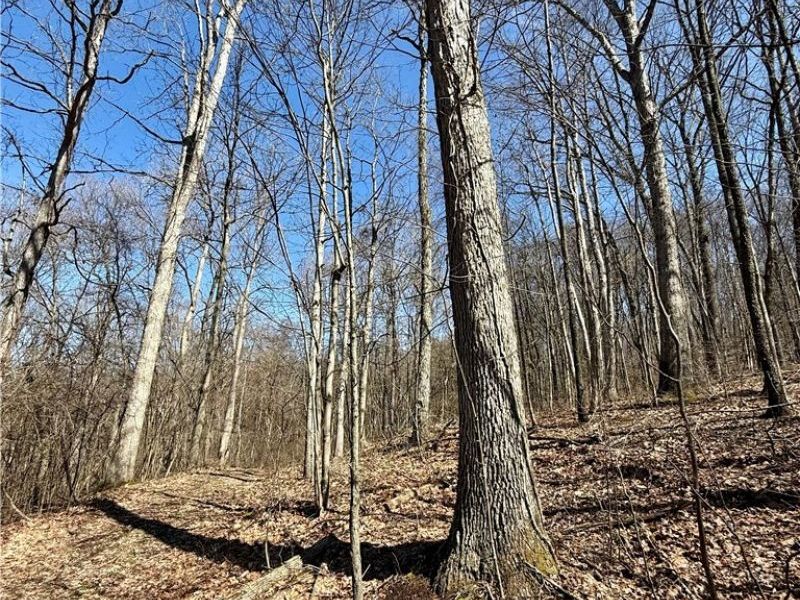 2309 Township Road 281, Bergholz, OH 43908 Photo 40