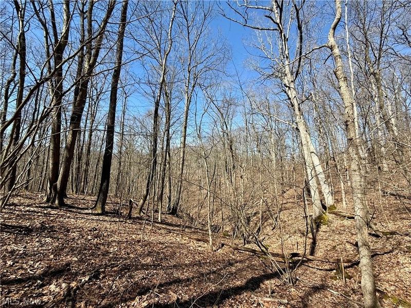 2309 Township Road 281, Bergholz, OH 43908 Photo 41