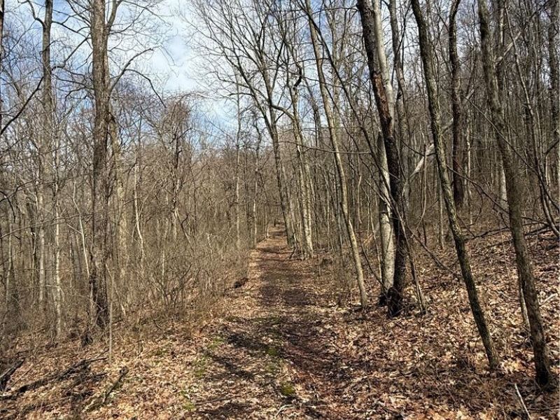 2309 Township Road 281, Bergholz, OH 43908 Photo 46