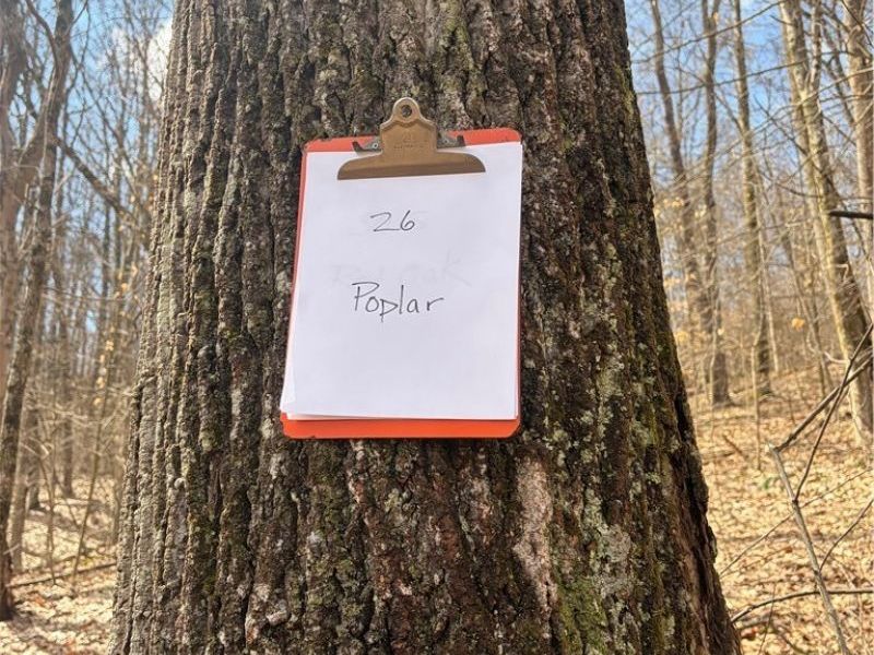 2309 Township Road 281, Bergholz, OH 43908 Photo 47