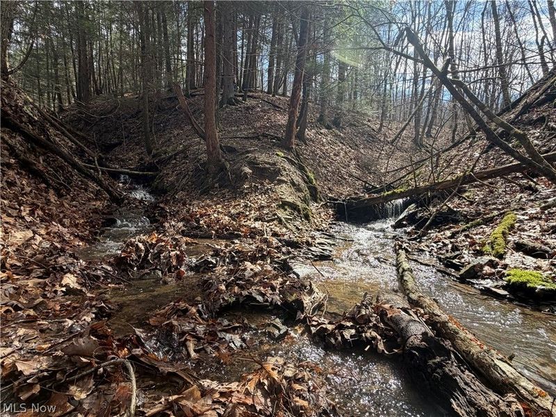 2309 Township Road 281, Bergholz, OH 43908 Photo 48