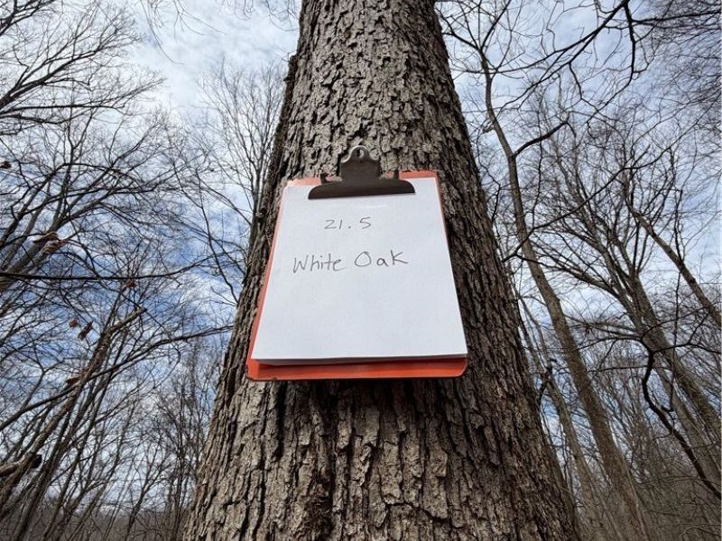 2309 Township Road 281, Bergholz, OH 43908 Photo 49