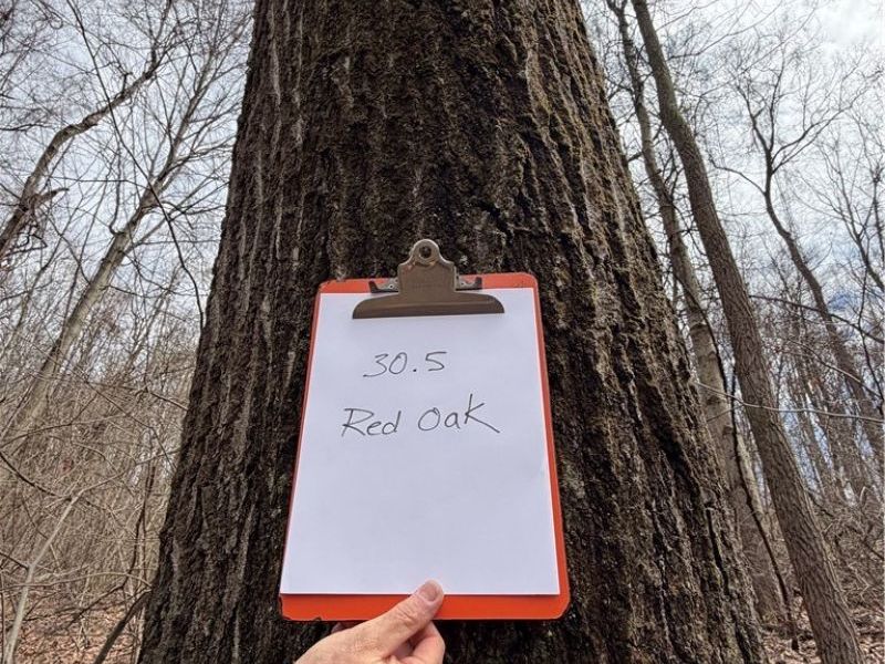 2309 Township Road 281, Bergholz, OH 43908 Photo 50