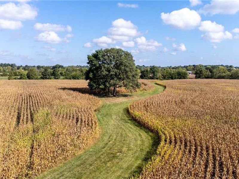 13343 Dechant Road, Farmersville, OH 45325 Photo 61