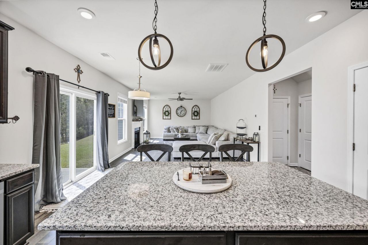 169 Prismatic Way  Photo 14