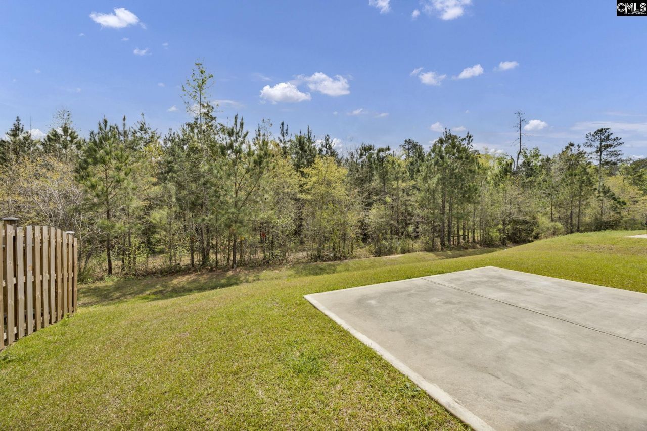 169 Prismatic Way  Photo 44