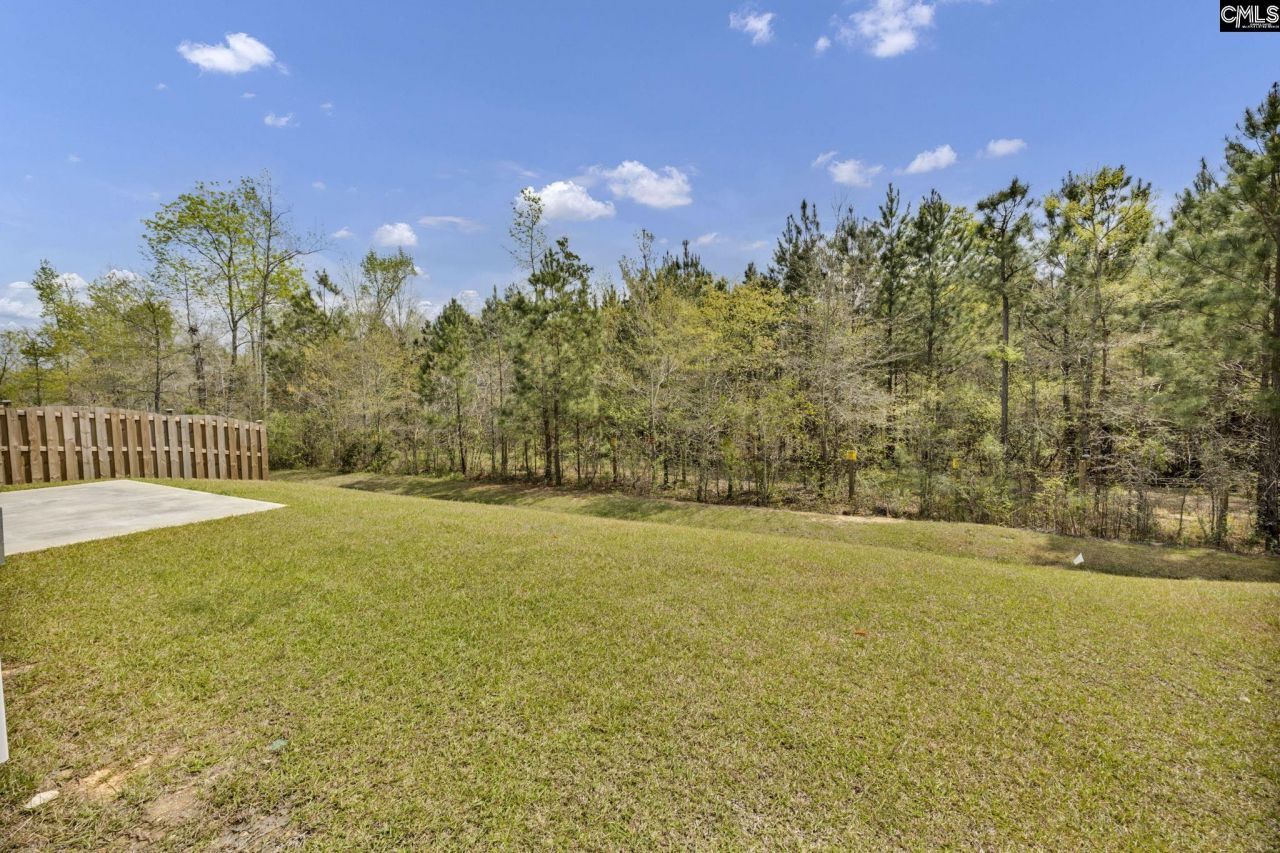 169 Prismatic Way  Photo 46