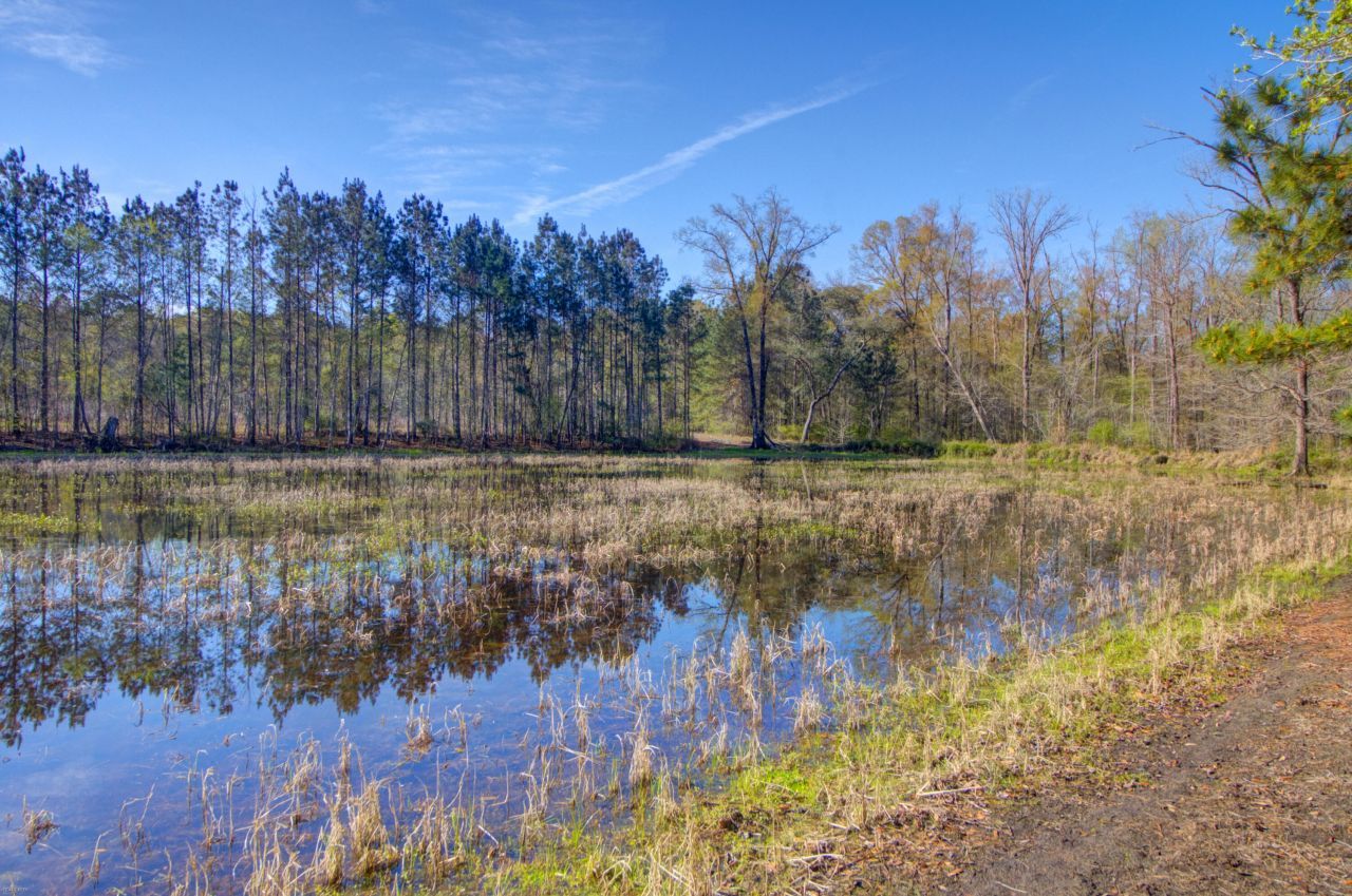 1384 Sandy Landing Lane Photo 30