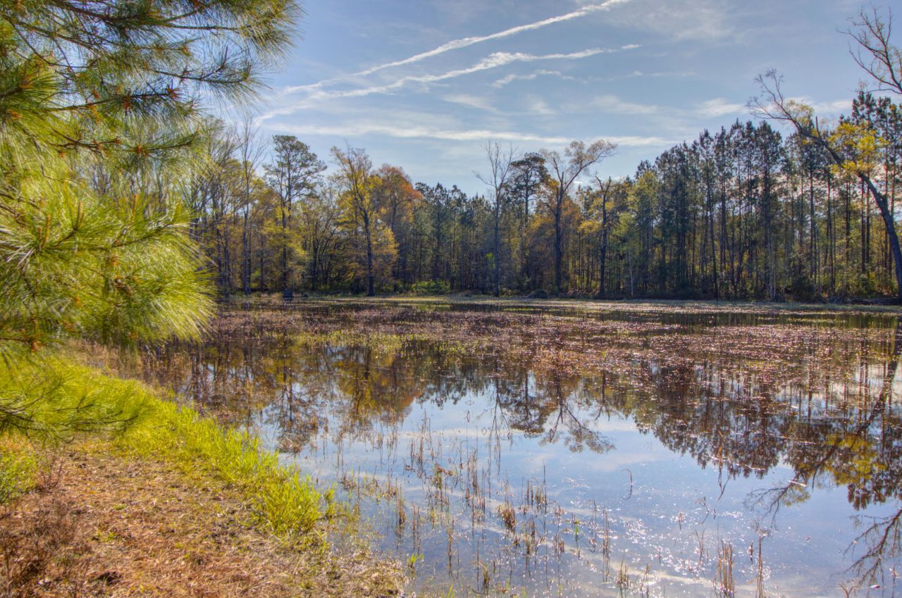1384 Sandy Landing Lane Photo 31