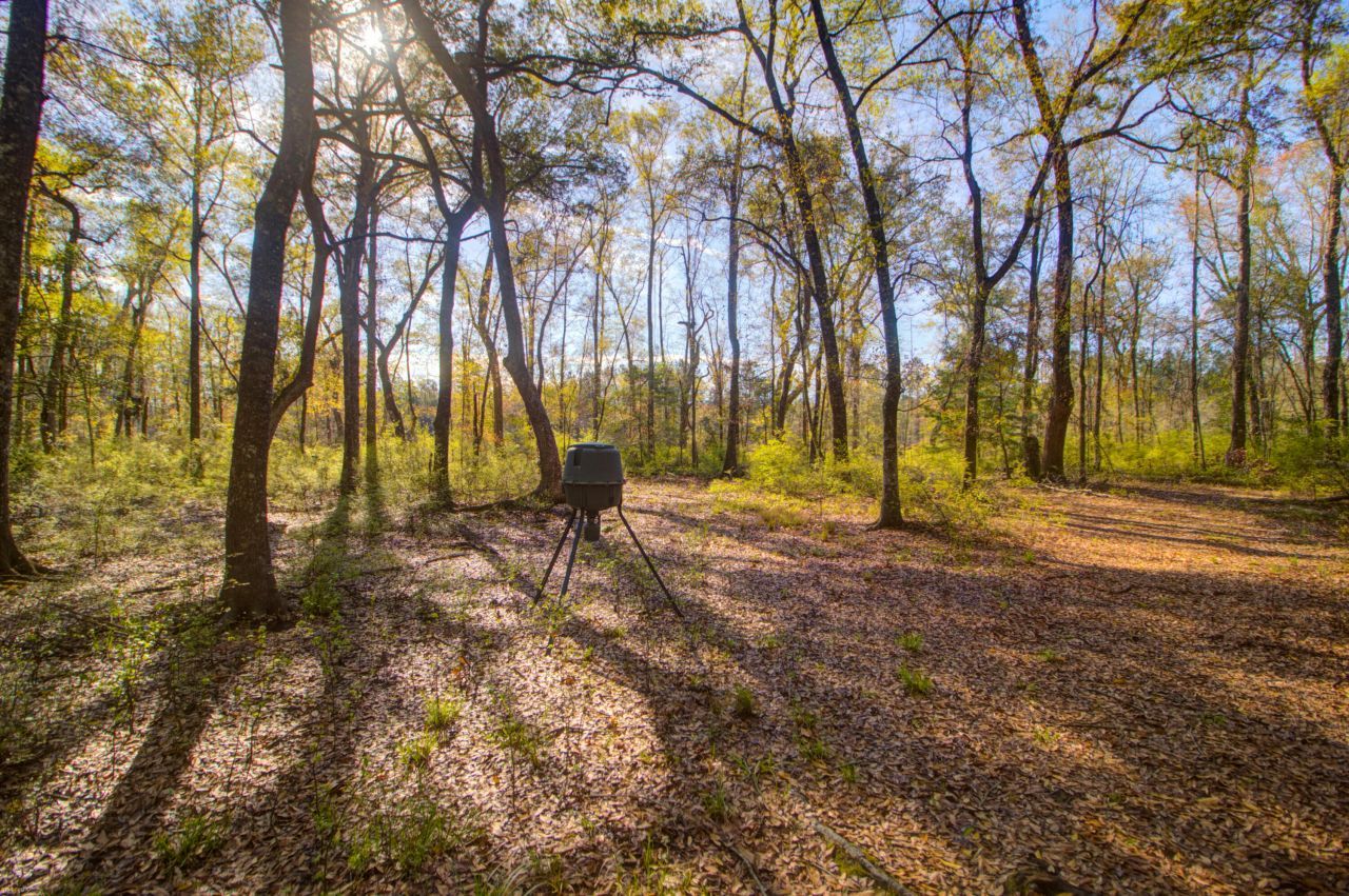 1384 Sandy Landing Lane Photo 32
