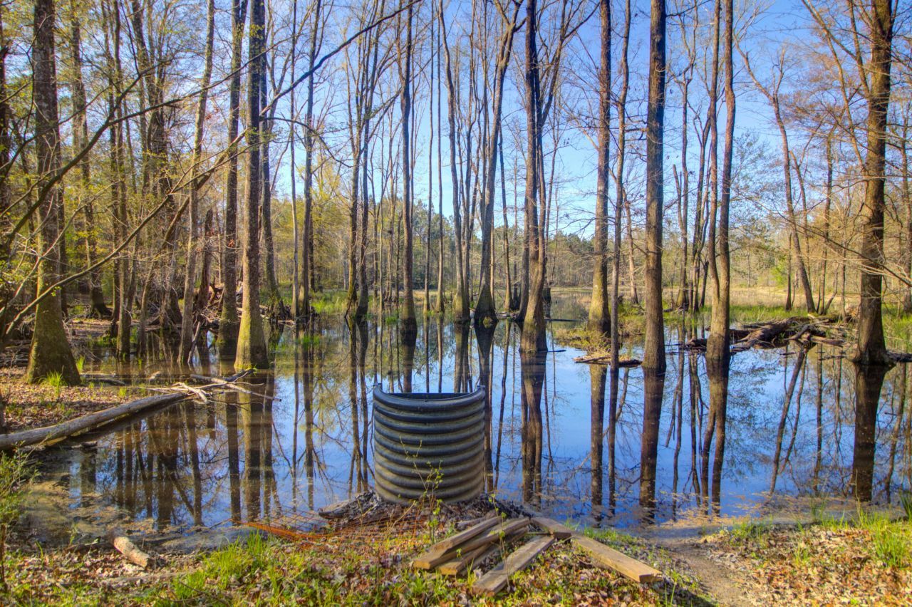 1384 Sandy Landing Lane Photo 33