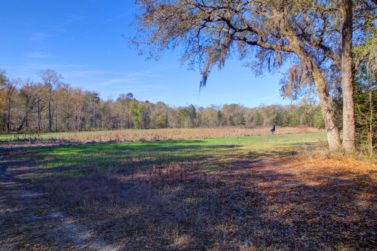 1384 Sandy Landing Lane Photo 34
