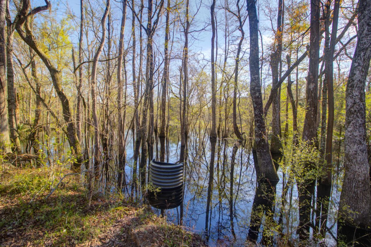 1384 Sandy Landing Lane Photo 35