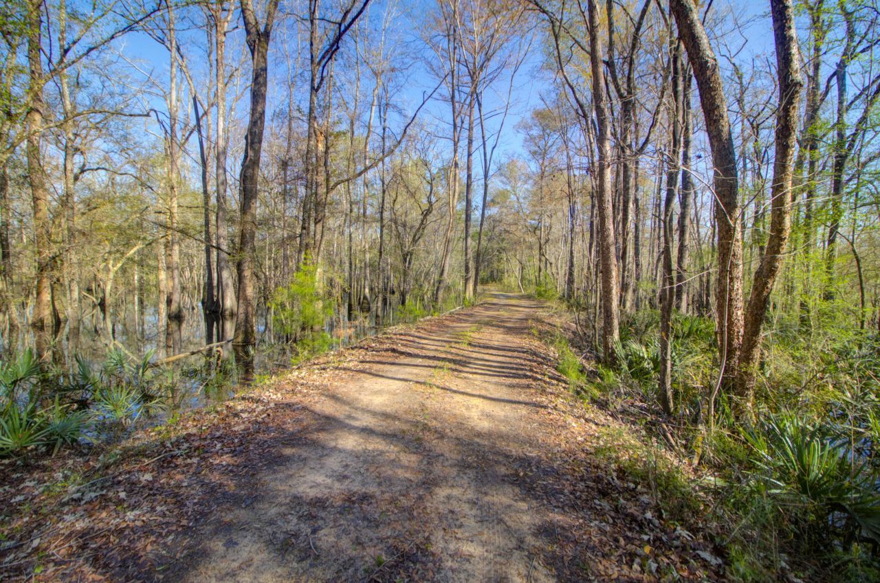 1384 Sandy Landing Lane Photo 36