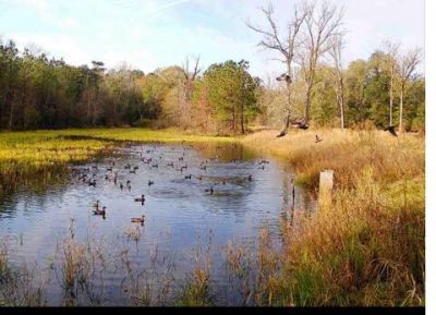 1384 Sandy Landing Lane Photo 39