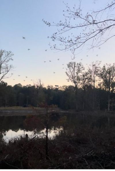 1384 Sandy Landing Lane Photo 40