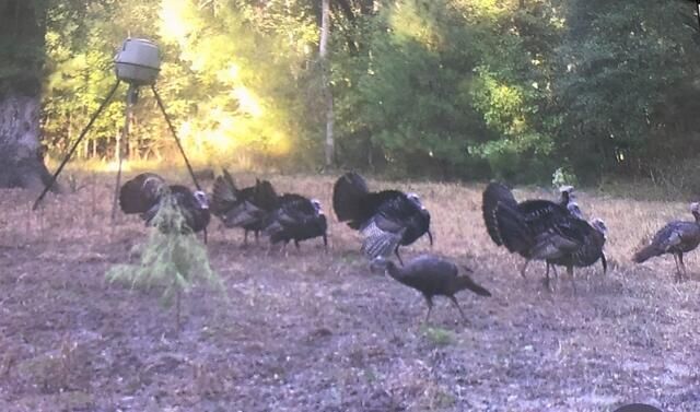 1384 Sandy Landing Lane Photo 42