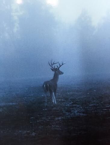 1384 Sandy Landing Lane Photo 44