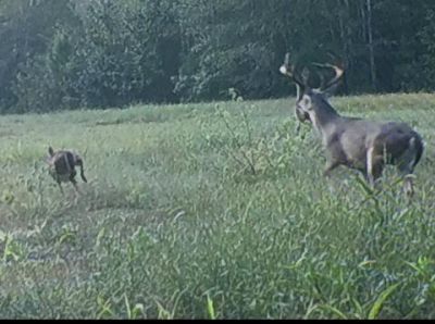 1384 Sandy Landing Lane Photo 45